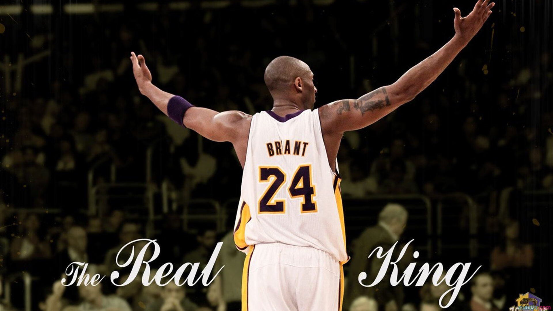 主帅强调全员健康是争冠关键各环节需确保人员状态稳定